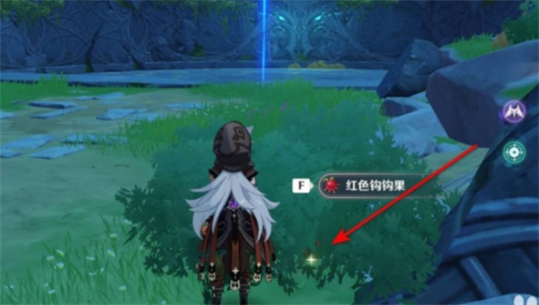 原神红色钩钩果位置在哪里