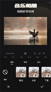 剪辑师截图3