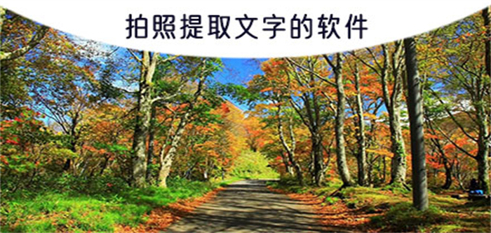 拍照提取文字的软件