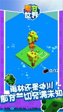 魔方世界手机版截图1