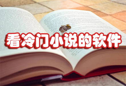 看冷门小说的软件