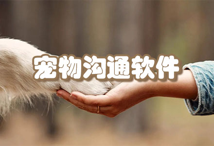 宠物沟通软件